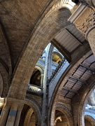 1st Jan 2023 - Spot the giraffe. The wonderful arches of the Natural History Museum
