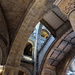 Spot the giraffe. The wonderful arches of the Natural History Museum by 365jgh