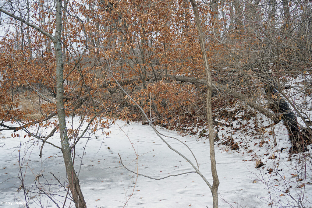 Pond partly frozen over by larrysphotos
