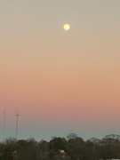 5th Jan 2023 - Rothko Moon