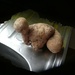 today's potato was provided by Henry Moore by anniesue