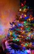 3rd Jan 2023 - Last days of the Christmas Tree...