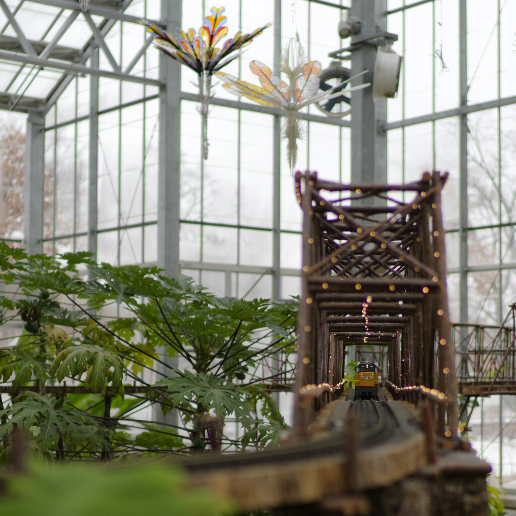 model train in a bridge by rminer