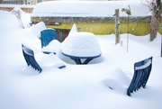 6th Jan 2023 - I forgot to bring in the garden furniture