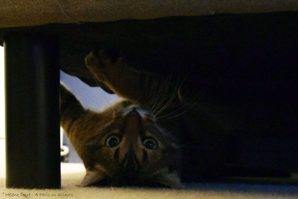 Play under the bed by parisouailleurs