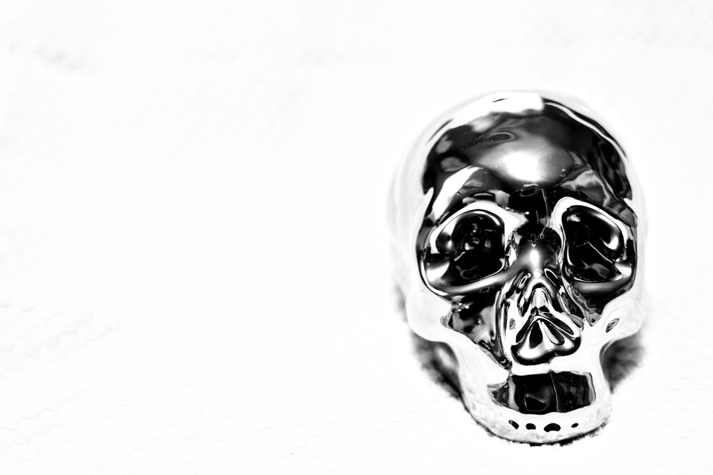 Christmas Skull by divast8er1