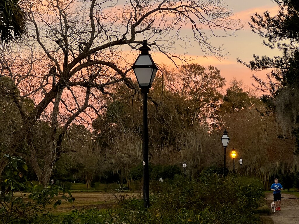 Hampton Park right after sunset by congaree
