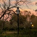 Hampton Park right after sunset by congaree
