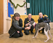 6th Jan 2023 - Elsie Graduated from her Dogs Trust "Puppy Training" Lessons Today 