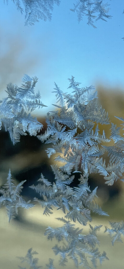 Ice crystals  by kmccoy