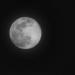Full Moon by judyc57