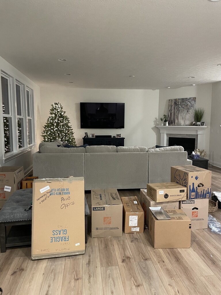 Tree up, boxes full by kdrinkie