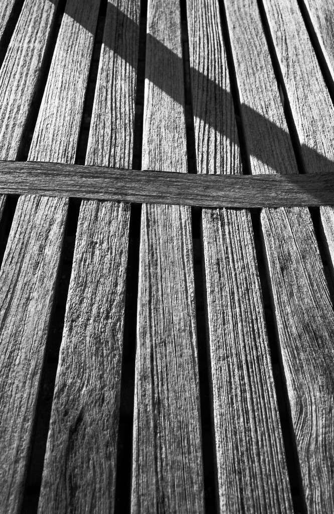The shadow back bench by sjoyce