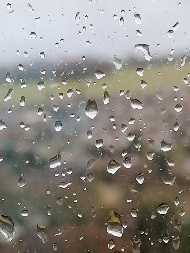 Raindrops by toucantalk