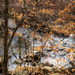 Pine Log Creek by kvphoto