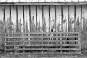 7th Jan 2023 - Barn & Fence