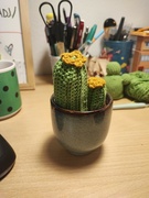 6th Jan 2023 - Another crochet cactus