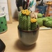 Another crochet cactus by nami
