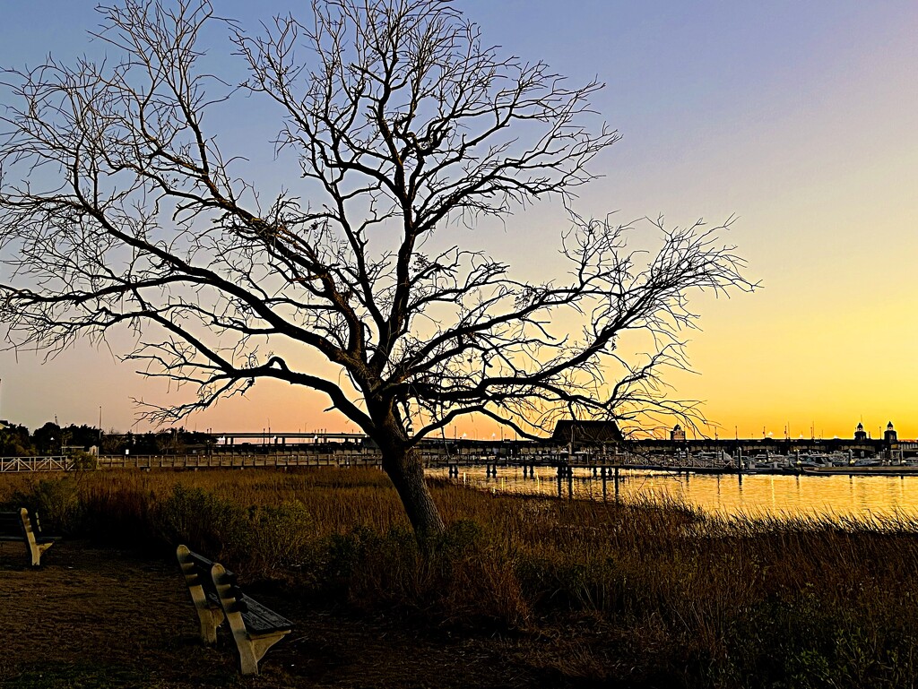 Sunset along the river by congaree