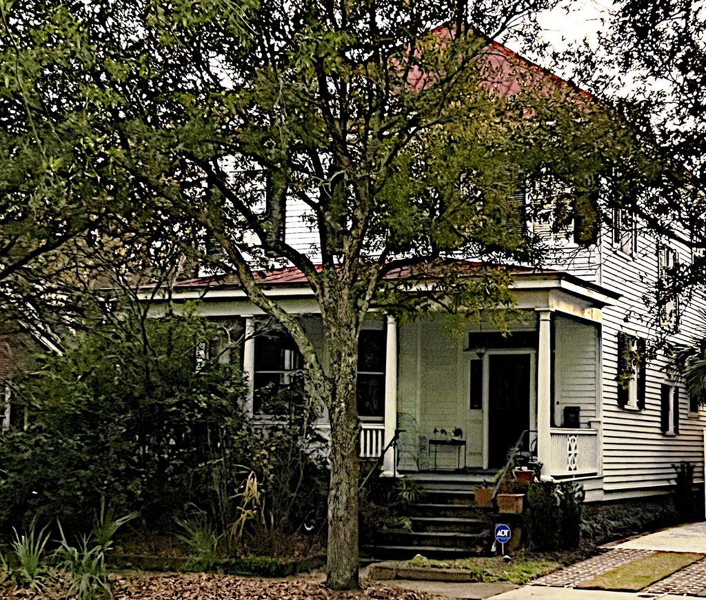 One of my favorite old houses near the park where I walk by congaree