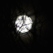 6th Jan 2023 - Wolf Moon