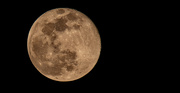 7th Jan 2023 - Night After Full Moon!