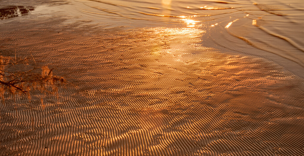 Ripples in the Sand! by rickster549