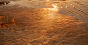 7th Jan 2023 - Ripples in the Sand!