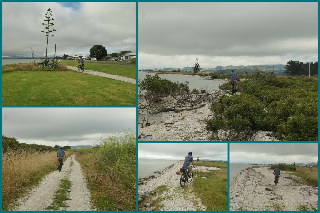 Today's bike ride by dide