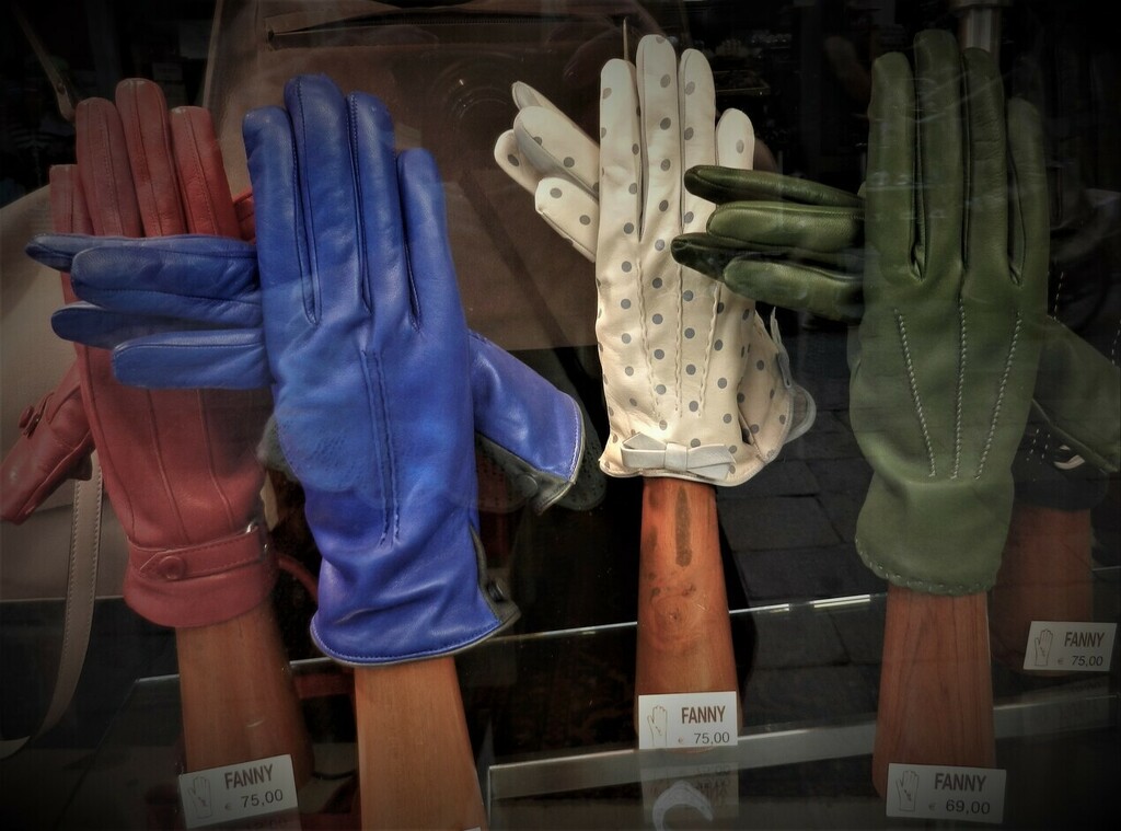 The Glove Shop by jenbo