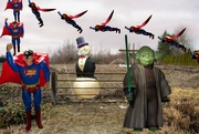 8th Jan 2023 - Superman, Yoda and MoneyBags in a Field