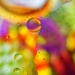 Colourful bubbles II by pompadoorphotography
