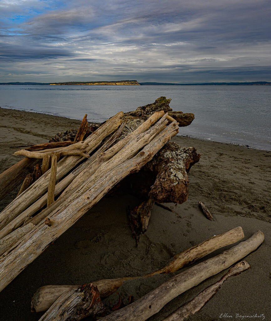 Old Norwegian Beach, Hansville by theredcamera