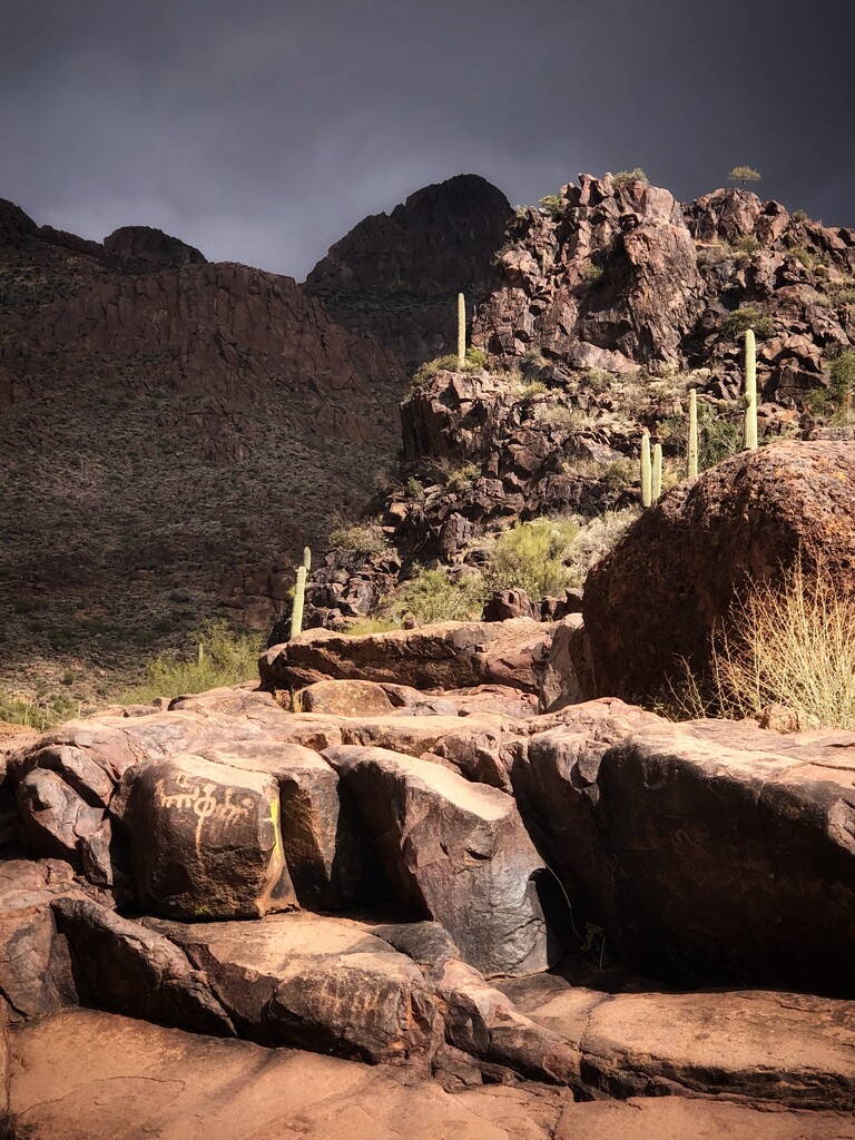Petroglyphs in the Superstitions  by pjtetlock