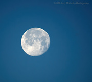8th Jan 2023 - Setting moon