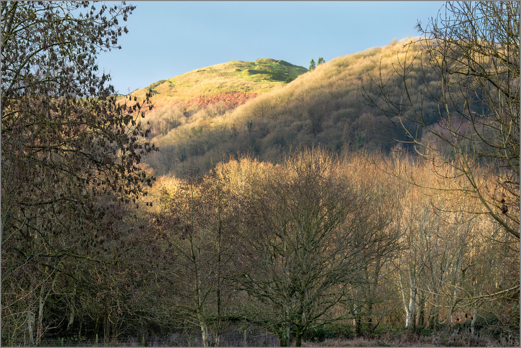 Looking at part of the Malverns by clifford