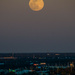 Full Wolf Moon by danette
