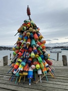 24th Dec 2022 - Lobster Buoy Tree at Friendship, Maine 