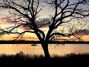 9th Jan 2023 - River sunset