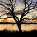 River sunset by congaree