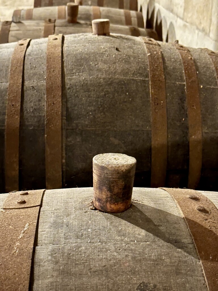Wine Barrels by kjarn