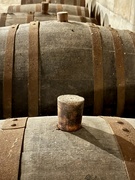 10th Jan 2023 - Wine Barrels