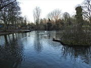 7th Jan 2023 - Vernon Park Pond