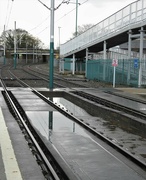 8th Jan 2023 - A Wet Wait For the Tram