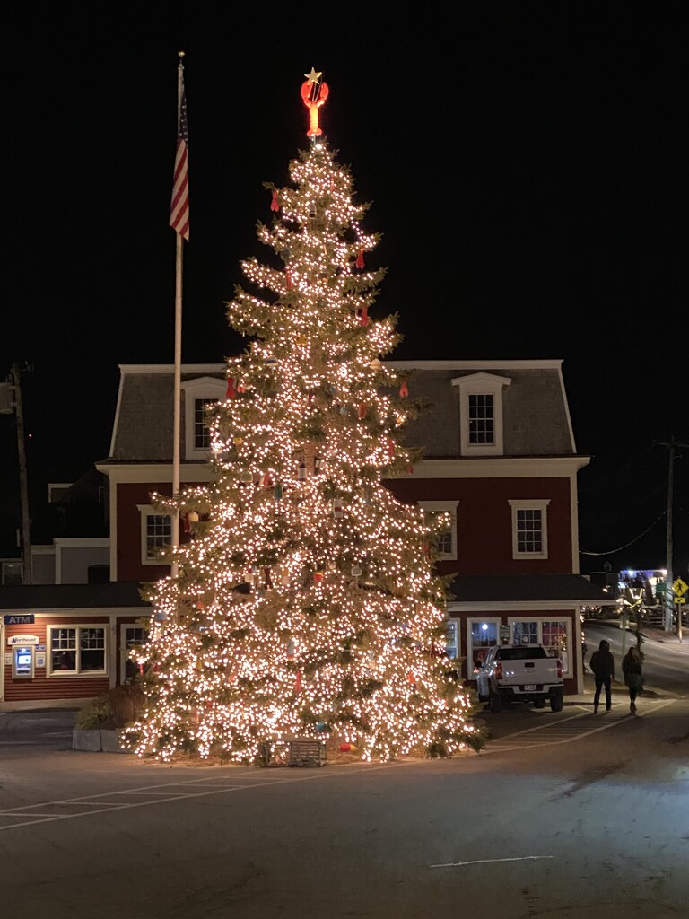 Kennebunkport Christmas Tree by clay88