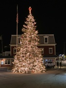 30th Dec 2022 - Kennebunkport Christmas Tree