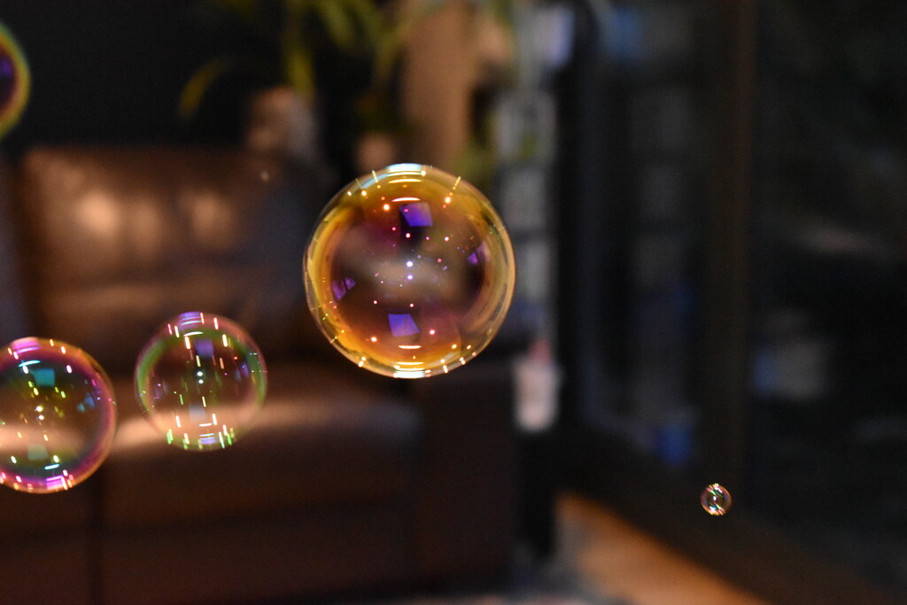 Playing with bubbles on a dull day by anitaw