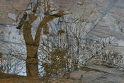 10th Jan 2023 - Reflections on our puddly patio