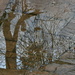 Reflections on our puddly patio by anitaw