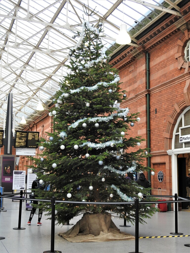 Station Christmas Tree by oldjosh